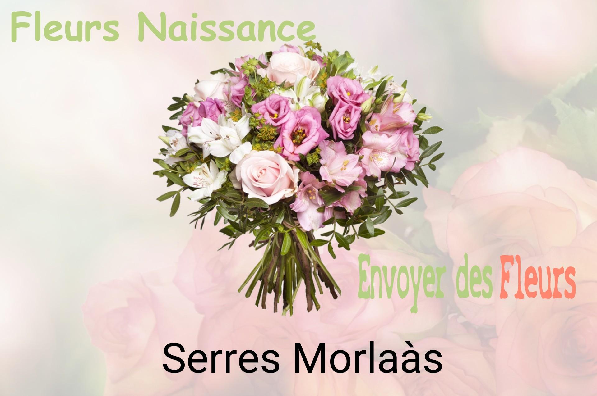 Bouquet de fleurs de naissance livré à Serres-Morlaàs