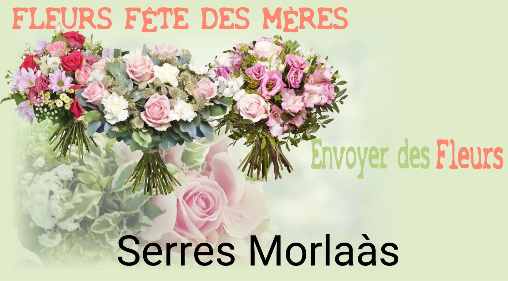 Bouquet de Fête des Mères livré à Serres-Morlaàs